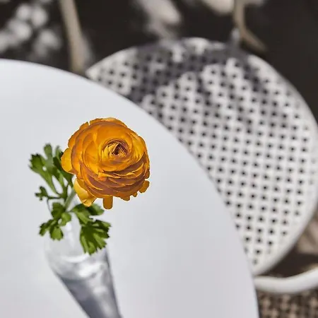 La Fenice Hotel Rimini