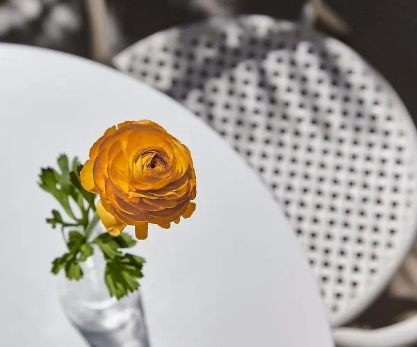 La Fenice Hotel Rimini