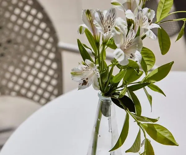 La Fenice רימיני